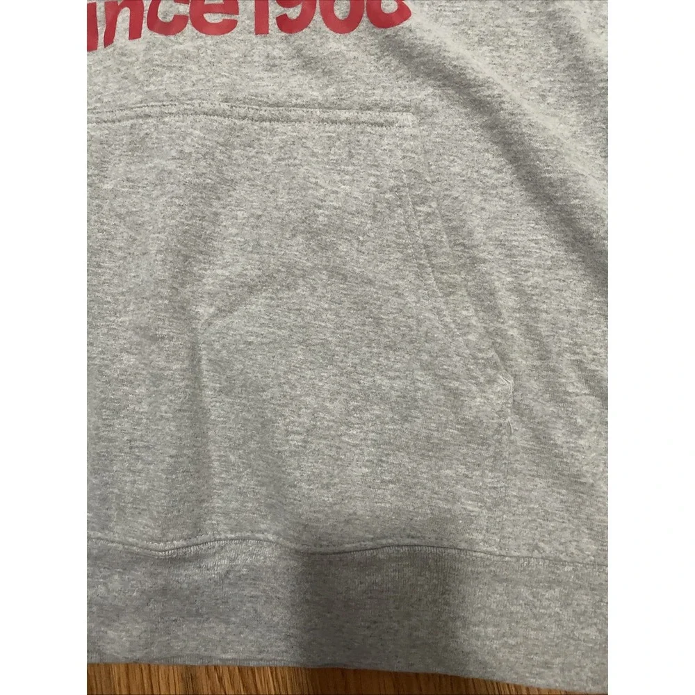 The North Face Hoodie Mens Large Drew Peak Performance Pullover